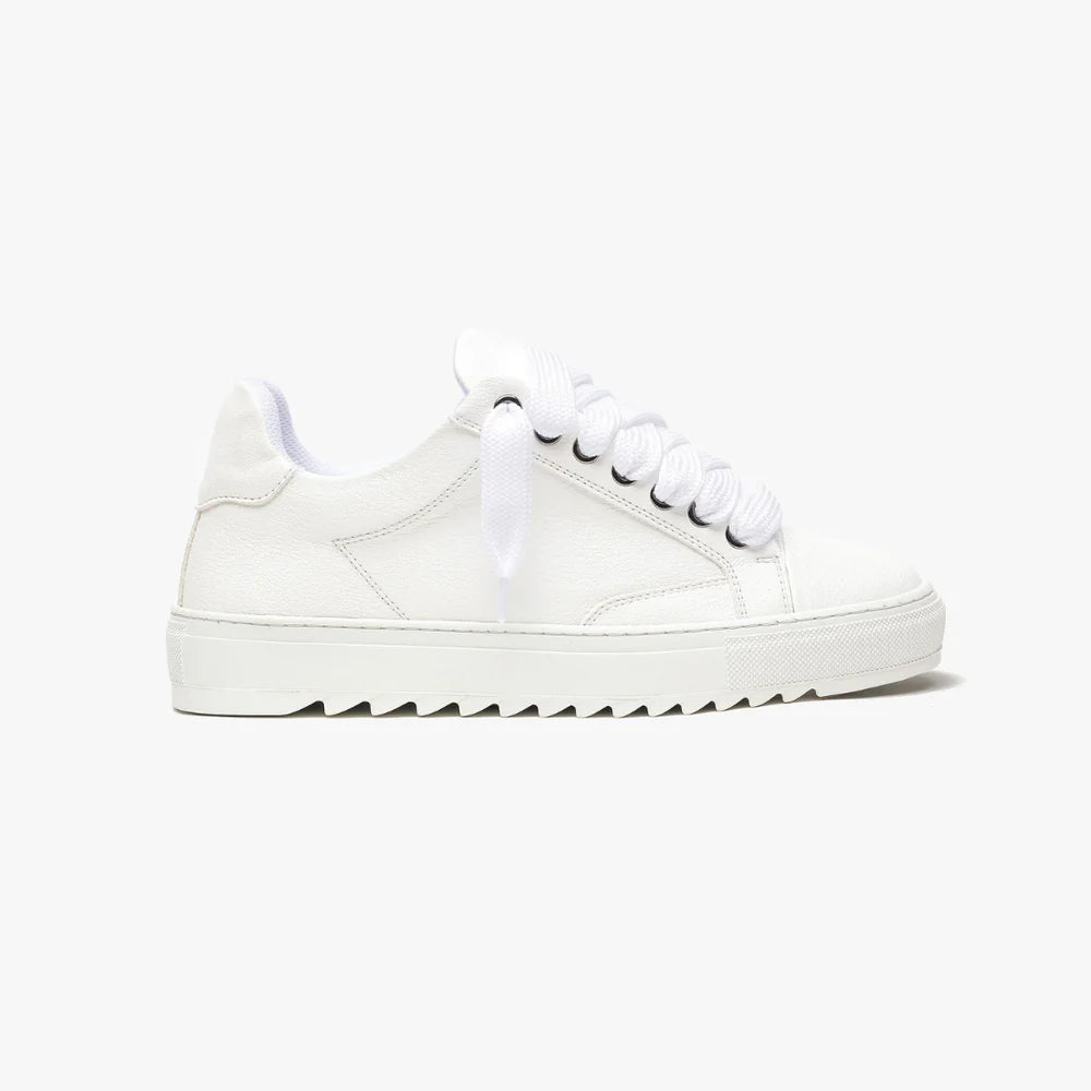 NUMERIS - SNEAKERS