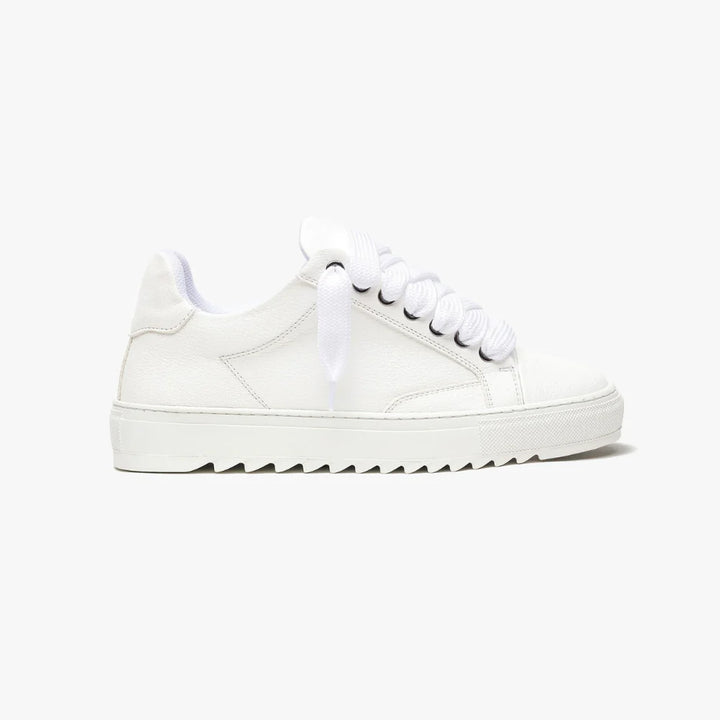 NUMERIS - SNEAKERS