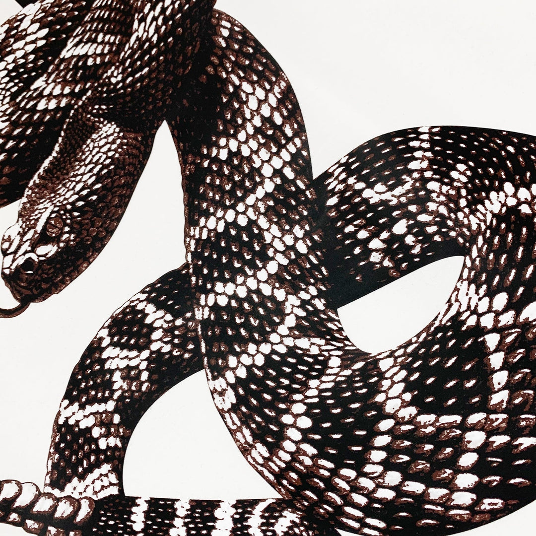 Amr Snake T-shirt